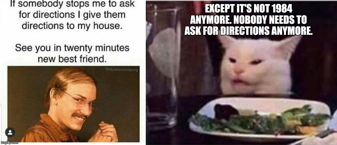 EXCEPT IT'S NOT 1984 ANYMORE. NOBODY NEEDS TO ASK FOR DIRECTIONS ANYMORE. | image tagged in white dinner table cat | made w/ Imgflip meme maker