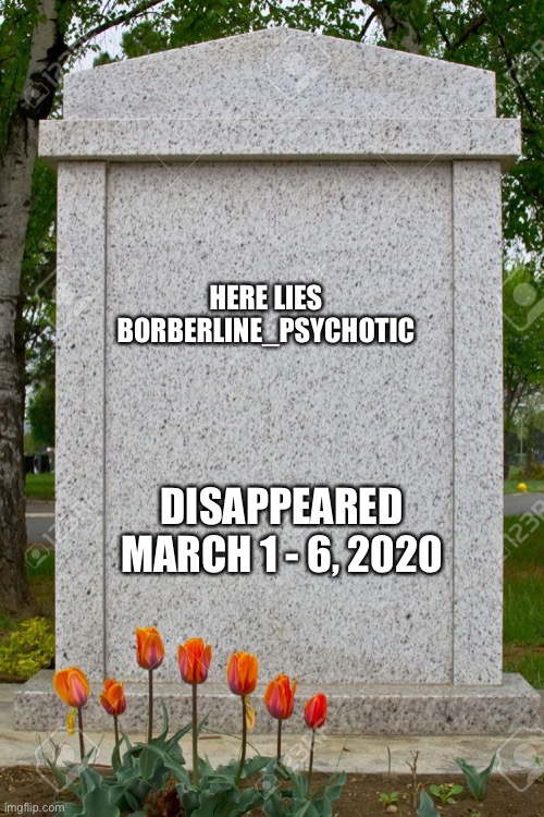 May she rest in peace, anyone know what happened? | HERE LIES BORBERLINE_PSYCHOTIC; DISAPPEARED MARCH 1 - 6, 2020 | image tagged in blank gravestone | made w/ Imgflip meme maker