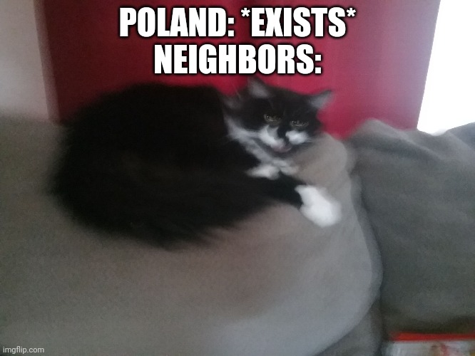 Angery Cat | POLAND: *EXISTS*
NEIGHBORS: | image tagged in angery cat | made w/ Imgflip meme maker