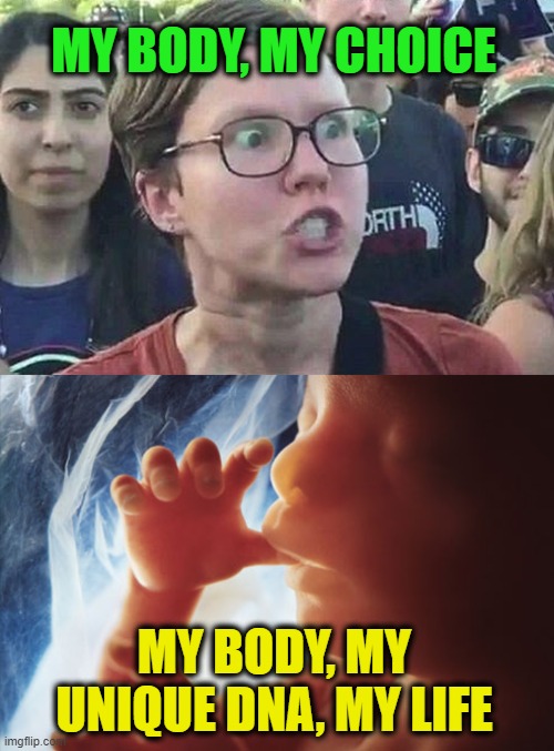 Two Bodies | MY BODY, MY CHOICE; MY BODY, MY UNIQUE DNA, MY LIFE | image tagged in triggered liberal,fetus,abortion | made w/ Imgflip meme maker