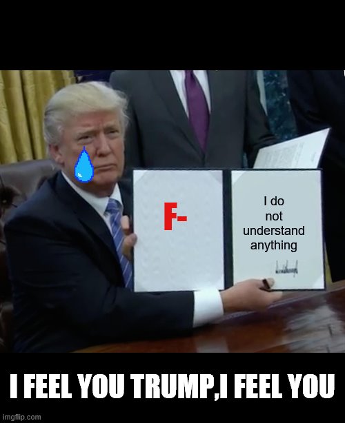 Trump Bill Signing | F-; I do not understand anything; I FEEL YOU TRUMP,I FEEL YOU | image tagged in memes,trump bill signing | made w/ Imgflip meme maker