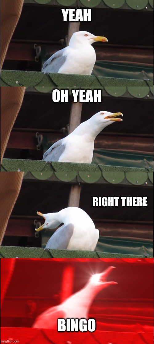 What she wants to feel |  YEAH; OH YEAH; RIGHT THERE; BINGO | image tagged in memes,inhaling seagull | made w/ Imgflip meme maker