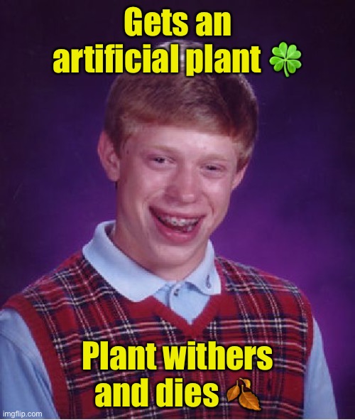 Bad Luck Brian Meme | Gets an artificial plant 🍀; Plant withers and dies 🍂 | image tagged in memes,bad luck brian | made w/ Imgflip meme maker