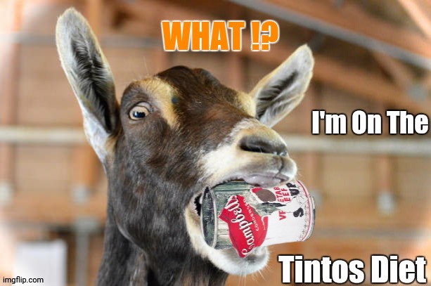 What? | WHAT !? I'm On The; Tintos Diet | image tagged in animals,funny,memes,kentos,campbell's,soup | made w/ Imgflip meme maker