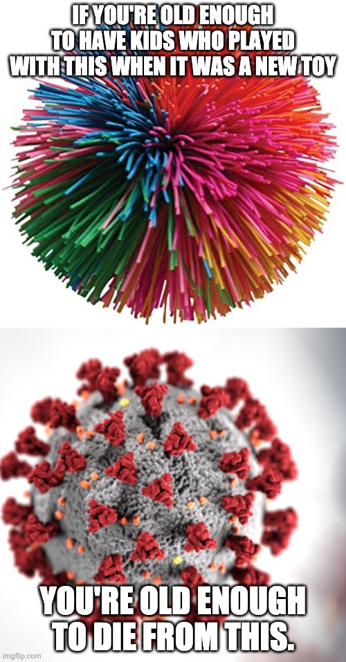 Coronakoosh | IF YOU'RE OLD ENOUGH TO HAVE KIDS WHO PLAYED WITH THIS WHEN IT WAS A NEW TOY; YOU'RE OLD ENOUGH TO DIE FROM THIS. | image tagged in coronavirus | made w/ Imgflip meme maker