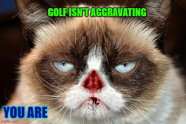 Grumpy Cat Not Amused | GOLF ISN'T AGGRAVATING; YOU ARE | image tagged in memes,grumpy cat not amused,grumpy cat | made w/ Imgflip meme maker