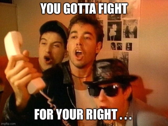 Beastie Boys | YOU GOTTA FIGHT FOR YOUR RIGHT . . . | image tagged in beastie boys | made w/ Imgflip meme maker