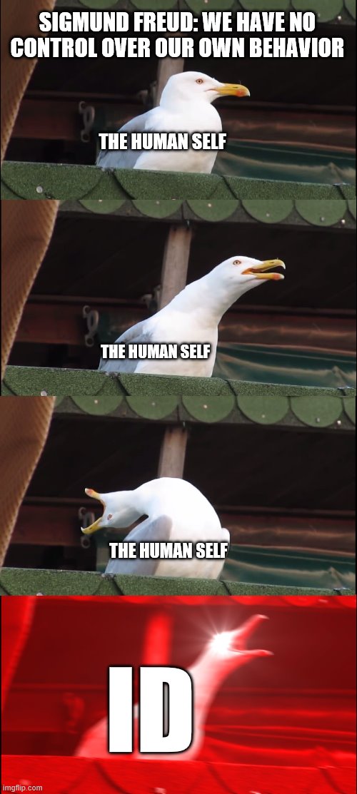 Inhaling Seagull Meme | SIGMUND FREUD: WE HAVE NO CONTROL OVER OUR OWN BEHAVIOR; THE HUMAN SELF; THE HUMAN SELF; THE HUMAN SELF; ID | image tagged in memes,inhaling seagull | made w/ Imgflip meme maker