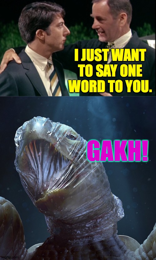 If you don't recycle, you may be a turtle murdler. | I JUST WANT
TO SAY ONE
WORD TO YOU. GAKH! | image tagged in memes,plastics,murdler,gakh | made w/ Imgflip meme maker