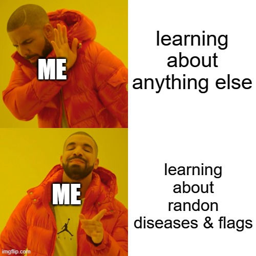 Drake Hotline Bling | learning about anything else; ME; learning about randon diseases & flags; ME | image tagged in memes,drake hotline bling | made w/ Imgflip meme maker