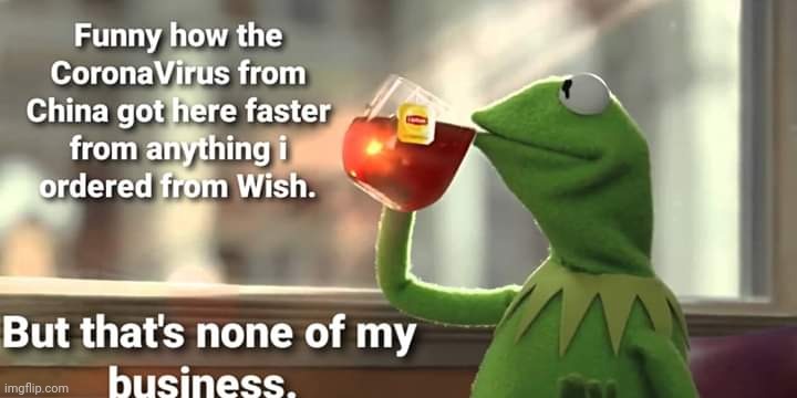 CoronaVirus 
Non of my business | image tagged in kermit the frog | made w/ Imgflip meme maker