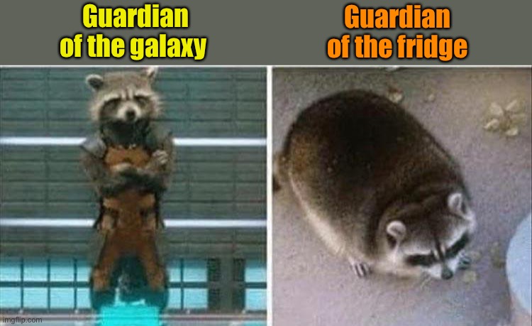 The “fridge guarding” is a little suspect I have to say. | Guardian of the fridge; Guardian of the galaxy | image tagged in guardians of the galaxy,fridge,memes,funny | made w/ Imgflip meme maker
