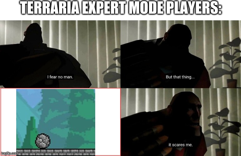 TF2 Heavy I fear no man | TERRARIA EXPERT MODE PLAYERS: | image tagged in tf2 heavy i fear no man | made w/ Imgflip meme maker