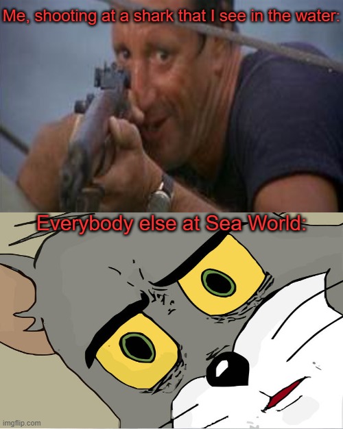 It could happen to anybody! | Me, shooting at a shark that I see in the water:; Everybody else at Sea World: | image tagged in roy scheider,jaws,unsettled tom,memes | made w/ Imgflip meme maker