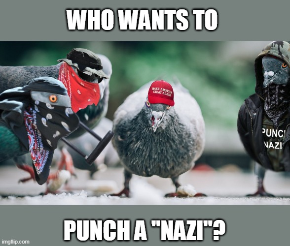 antifa pigeons | WHO WANTS TO PUNCH A "NAZI"? | image tagged in antifa pigeons | made w/ Imgflip meme maker