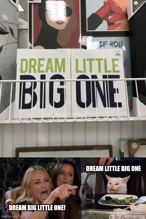 DREAM LITTLE BIG ONE; DREAM BIG LITTLE ONE! | image tagged in woman yelling at cat | made w/ Imgflip meme maker