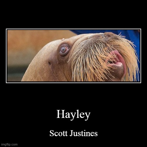 Hayley | image tagged in funny,demotivationals | made w/ Imgflip demotivational maker