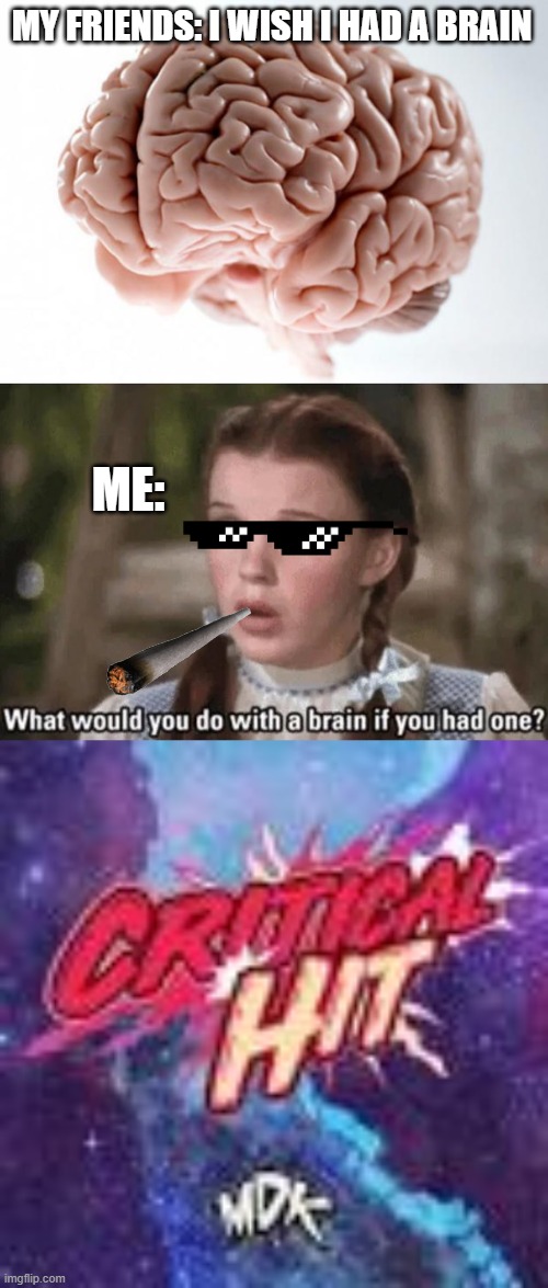Its a bad meme im sorry | MY FRIENDS: I WISH I HAD A BRAIN; ME: | image tagged in scumbag brain,what would you do with a brain if you had one,critical hit by mdk,fun,funny,memes | made w/ Imgflip meme maker
