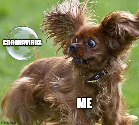 Coronavirus Dog | CORONAVIRUS; ME | image tagged in coronavirus,dogs | made w/ Imgflip meme maker