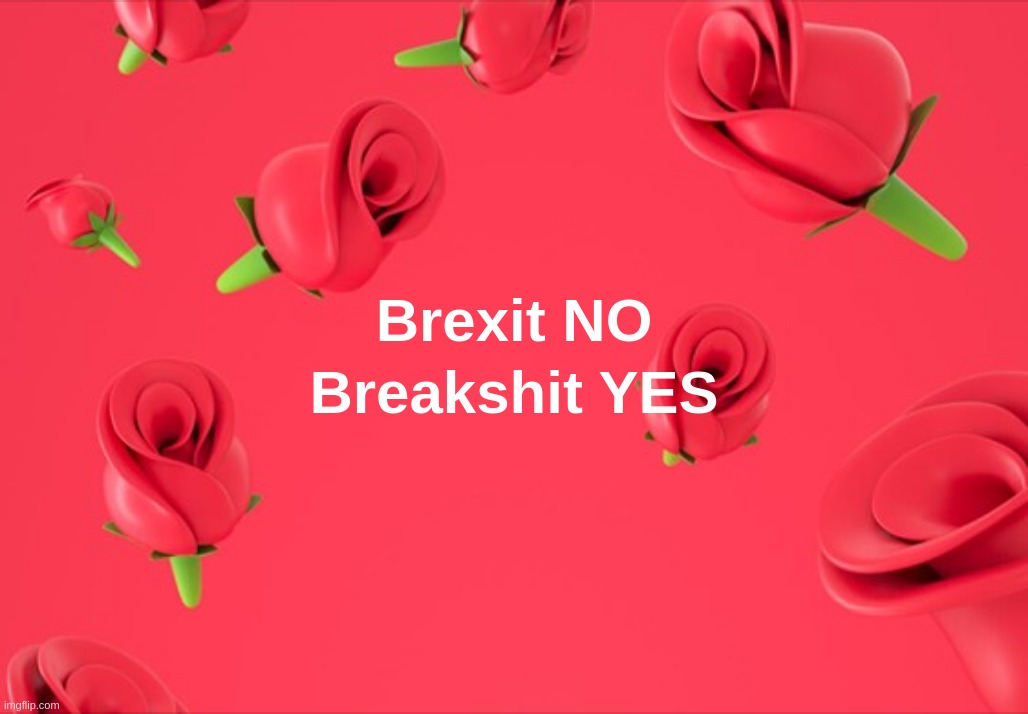 Brexit NO Breakshit YES | image tagged in brexit,breakshit,break,brit | made w/ Imgflip meme maker