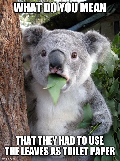 Surprised Koala | WHAT DO YOU MEAN; THAT THEY HAD TO USE THE LEAVES AS TOILET PAPER | image tagged in memes,surprised koala | made w/ Imgflip meme maker