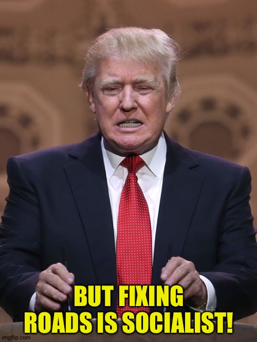 Donald Trump | BUT FIXING ROADS IS SOCIALIST! | image tagged in donald trump | made w/ Imgflip meme maker