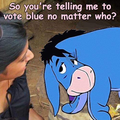 American Skeptical Donkey | So you're telling me to
vote blue no matter who? | image tagged in memes,third world skeptical kid,democrat donkey | made w/ Imgflip meme maker