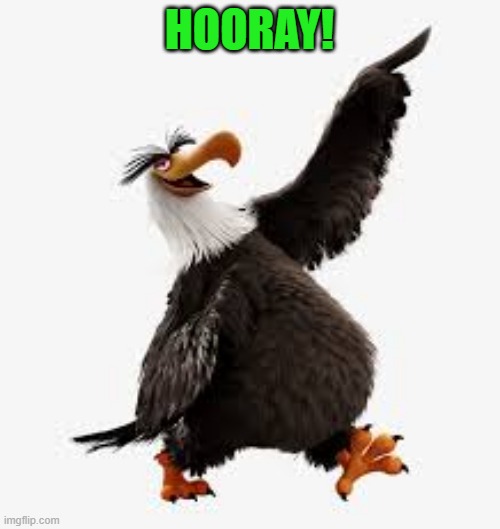 angry birds eagle | HOORAY! | image tagged in angry birds eagle | made w/ Imgflip meme maker