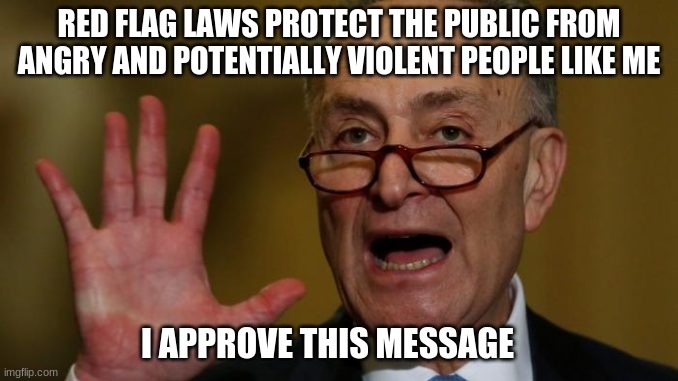 Red Flag Chuck | RED FLAG LAWS PROTECT THE PUBLIC FROM ANGRY AND POTENTIALLY VIOLENT PEOPLE LIKE ME; I APPROVE THIS MESSAGE | image tagged in chuck schumer,red flag,chuck is violent,impeach chuck,dangerous man,threat to public | made w/ Imgflip meme maker