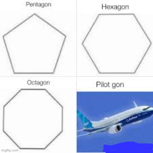 image tagged in pentagon hexagon octagon,funny,memes,plane | made w/ Imgflip meme maker