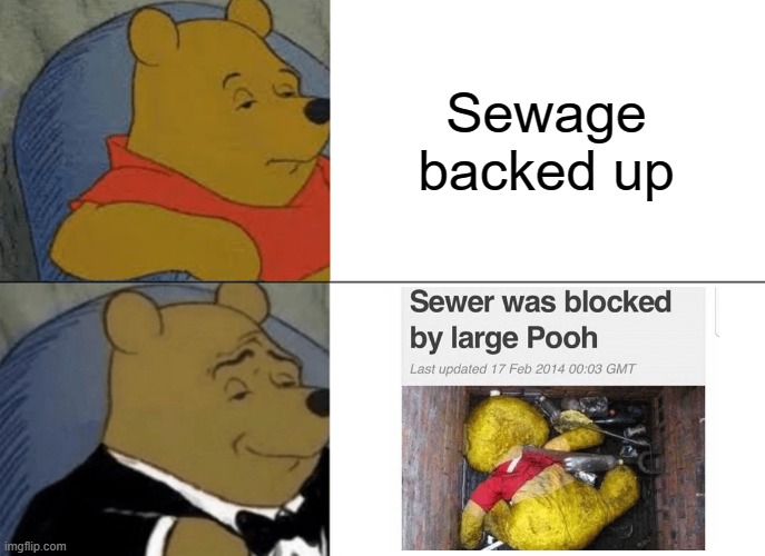 Sometimes the headlines write themselves |  Sewage backed up | image tagged in memes,tuxedo winnie the pooh,sewer,back up | made w/ Imgflip meme maker