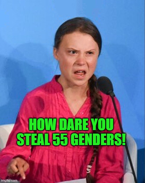 Greta Thunberg how dare you | HOW DARE YOU STEAL 55 GENDERS! | image tagged in greta thunberg how dare you | made w/ Imgflip meme maker