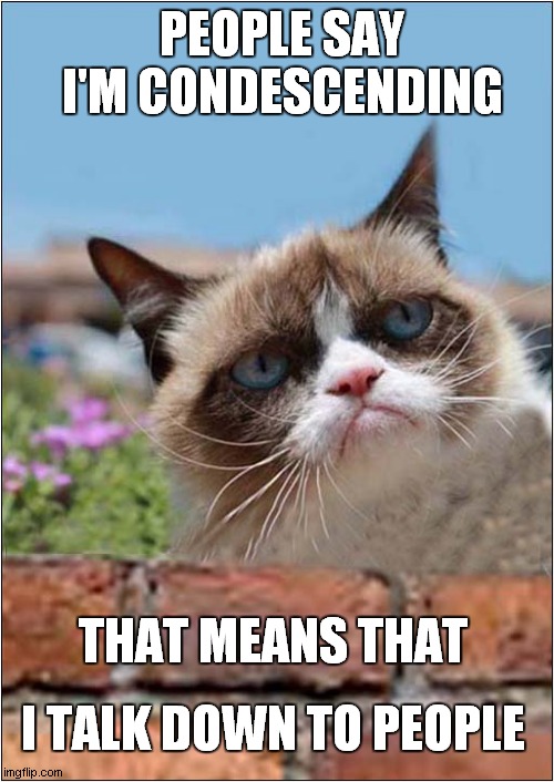 Grumpys Superiority Complex | PEOPLE SAY I'M CONDESCENDING; THAT MEANS THAT; I TALK DOWN TO PEOPLE | image tagged in fun,grumpy cat,psychology | made w/ Imgflip meme maker