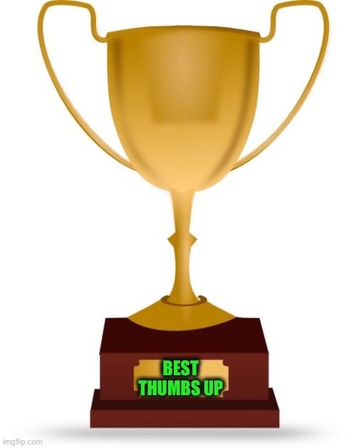 Blank Trophy | BEST
THUMBS UP | image tagged in blank trophy | made w/ Imgflip meme maker