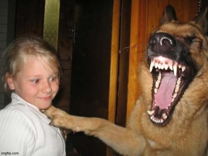 dog laughs  girl | image tagged in dog laughs girl | made w/ Imgflip meme maker