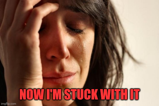 First World Problems Meme | NOW I'M STUCK WITH IT | image tagged in memes,first world problems | made w/ Imgflip meme maker