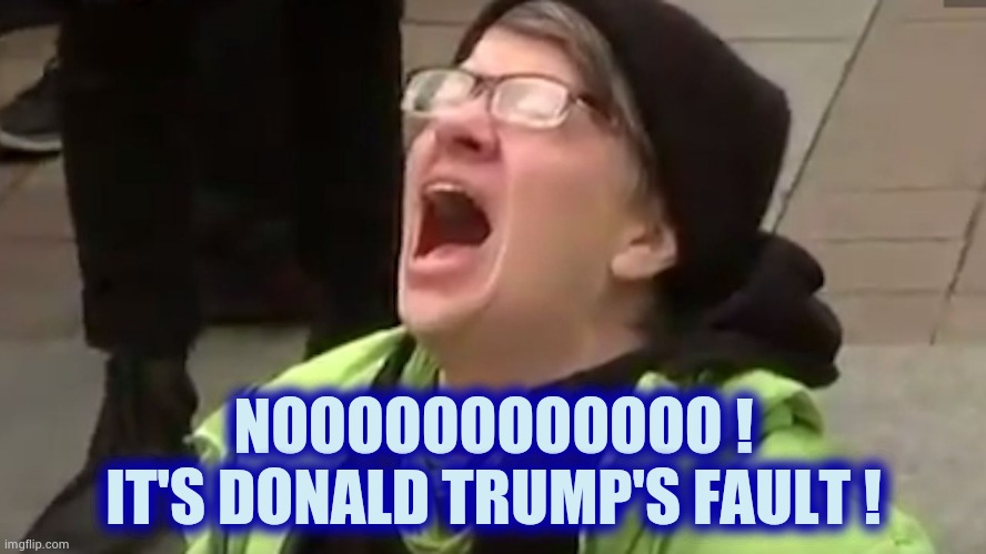 Screaming Liberal  | NOOOOOOOOOOOO !
IT'S DONALD TRUMP'S FAULT ! | image tagged in screaming liberal | made w/ Imgflip meme maker