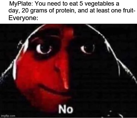 Gru No | MyPlate: You need to eat 5 vegetables a          day, 20 grams of protein, and at least one fruit-; Everyone: | image tagged in gru no | made w/ Imgflip meme maker