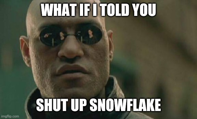 Matrix Morpheus | WHAT IF I TOLD YOU; SHUT UP SNOWFLAKE | image tagged in memes,matrix morpheus | made w/ Imgflip meme maker