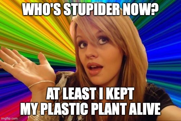 Dumb Blonde Meme | WHO'S STUPIDER NOW? AT LEAST I KEPT MY PLASTIC PLANT ALIVE | image tagged in memes,dumb blonde | made w/ Imgflip meme maker