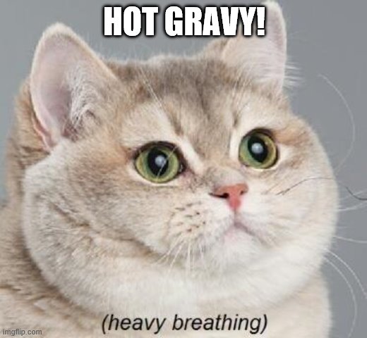 Heavy Breathing Cat Meme | HOT GRAVY! | image tagged in memes,heavy breathing cat | made w/ Imgflip meme maker