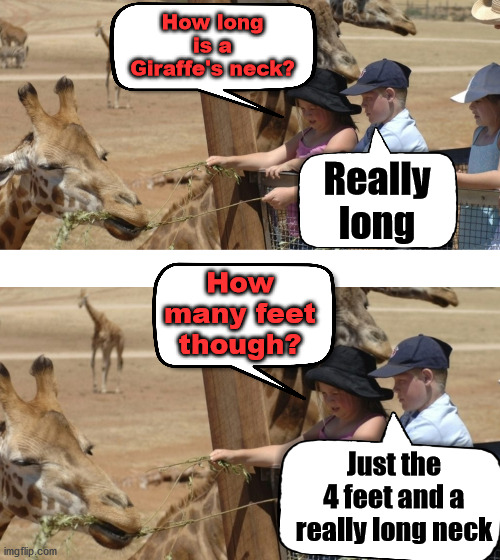I am that little boy |  How long is a Giraffe's neck? Really long; How many feet though? Just the 4 feet and a really long neck | image tagged in zoo,funny giraffe,that is the question | made w/ Imgflip meme maker