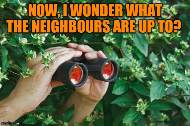 Creepy Guy in the bushes with Binoculars  | NOW, I WONDER WHAT THE NEIGHBOURS ARE UP TO? | image tagged in creepy guy in the bushes with binoculars | made w/ Imgflip meme maker