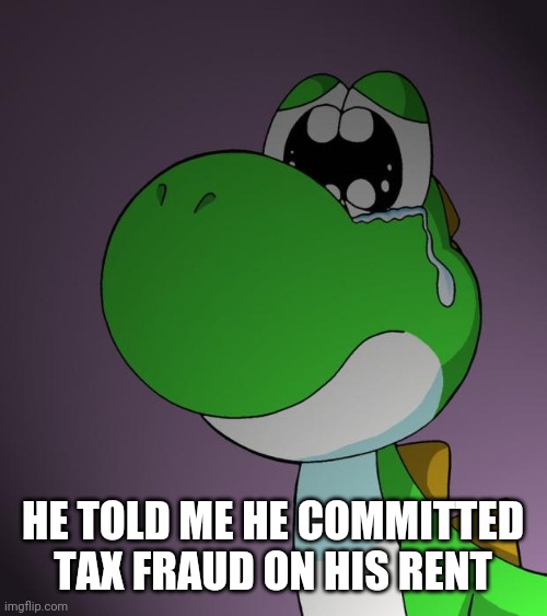 Sad Yoshi | HE TOLD ME HE COMMITTED TAX FRAUD ON HIS RENT | image tagged in sad yoshi | made w/ Imgflip meme maker