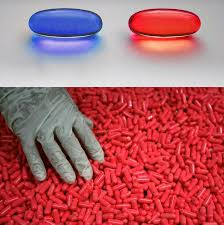 blue & red pills Blank Meme Template