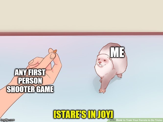 ME; ANY FIRST PERSON SHOOTER GAME | image tagged in the stare of joy | made w/ Imgflip meme maker