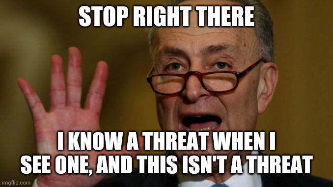Chuck Schumer | STOP RIGHT THERE I KNOW A THREAT WHEN I SEE ONE, AND THIS ISN'T A THREAT | image tagged in chuck schumer | made w/ Imgflip meme maker