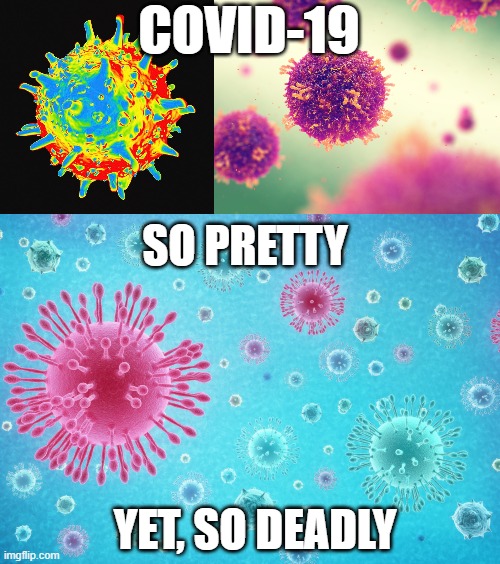 Coronavirus, for such a deadly virus, it really is pretty cool looking | COVID-19; SO PRETTY; YET, SO DEADLY | image tagged in coronavirus | made w/ Imgflip meme maker