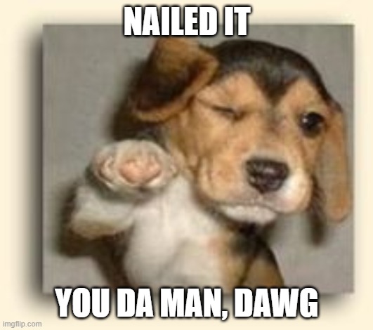 You Da Man Dog | NAILED IT YOU DA MAN, DAWG | image tagged in you da man dog | made w/ Imgflip meme maker
