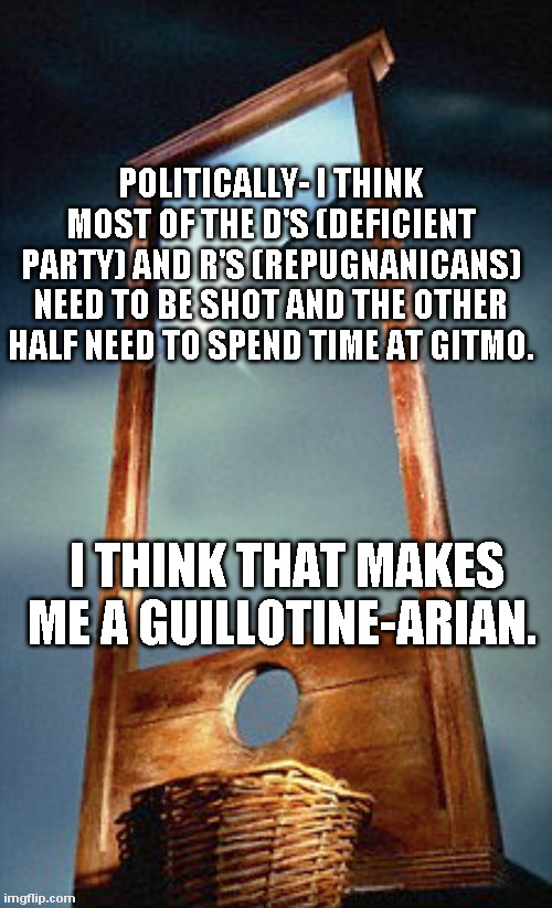 Off With Their Heads! | POLITICALLY- I THINK MOST OF THE D'S (DEFICIENT PARTY) AND R'S (REPUGNANICANS) NEED TO BE SHOT AND THE OTHER HALF NEED TO SPEND TIME AT GITMO. I THINK THAT MAKES ME A GUILLOTINE-ARIAN. | image tagged in demotwats,retardlicans | made w/ Imgflip meme maker